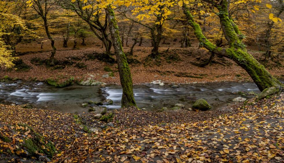 شدت سرمای پاییزی در آذربایجان‌ غربی کمتر شد