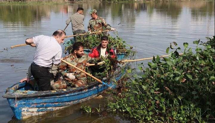 پاکسازی آب‌بندان ملاسرای شفت از گیاه مهاجم سنبل آبی