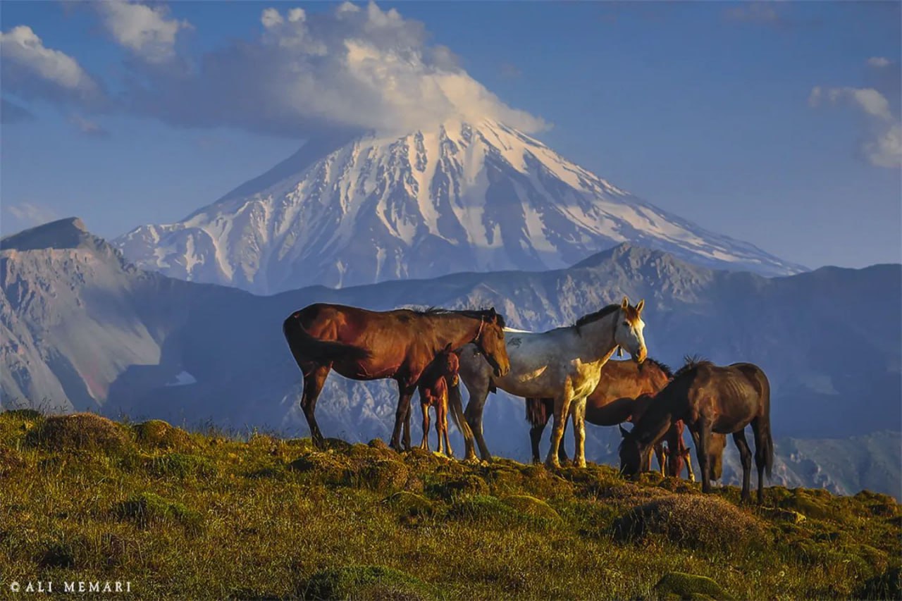 نمایی از قله زیبای دماوند