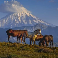 نمایی از قله زیبای دماوند