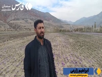 الگوهای موفق در مناطق روستایی میامی