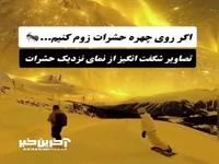 تصاویر حیرت‌انگیز حشرات از نمای نزدیک 