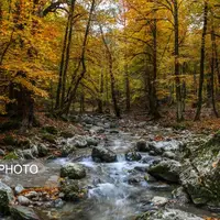 عکس/ پائیز منطقه کوهستانی فریم صحرا در استان مازندران  