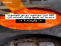 حشره ای که هرگز نباید بکشیدش!