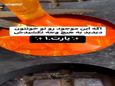 حشره ای که هرگز نباید بکشیدش!