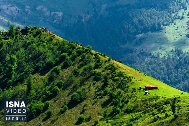 افسانه سیاگالش؛ حافظ زیست بوم کوهستان‌های گیلان