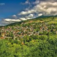 جنگل زیبای چلاو در آمل