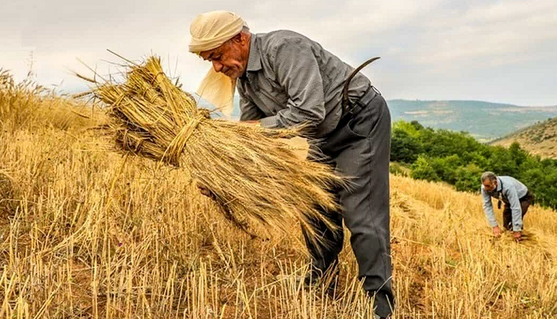 مناسبت روز/ شنبه، 26 آبان