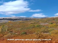 طبیعت پاییزی روستای فشک الموت غربی