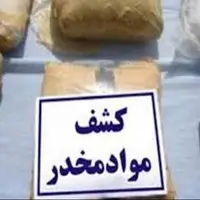 ۲۳۶ کیلوگرم تریاک در خراسان‌جنوبی کشف شد