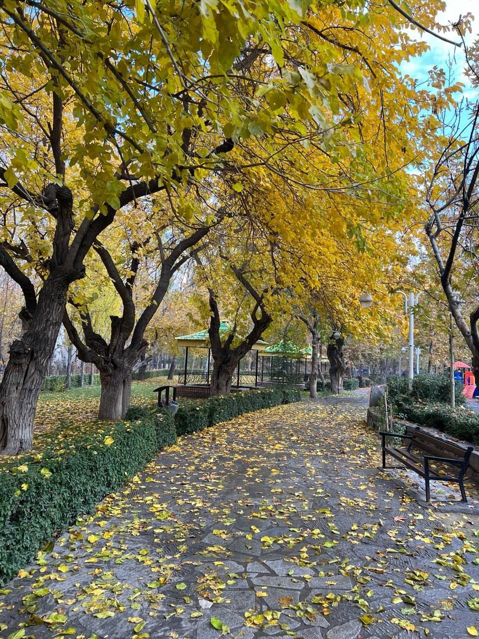پاییز زیبا در مشهد 