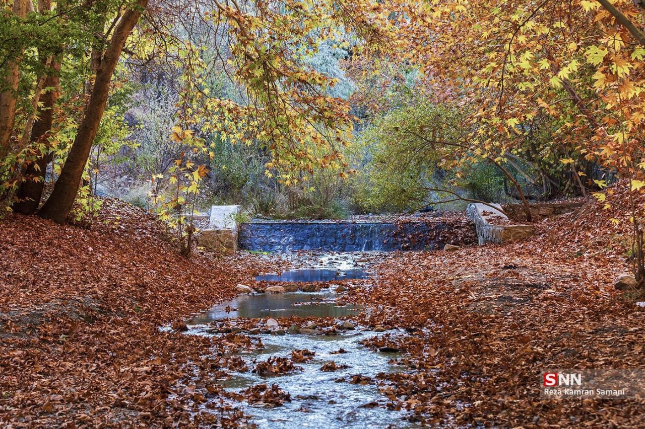 عکس/ ایران زیباست؛ پاییز رویایی شهرستان سامان