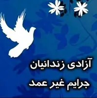 خیر بسیجی ۳ زندانی جرائم غیرعمد را در آستارا آزاد کرد