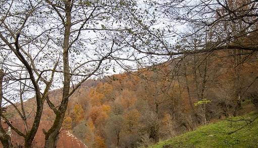 استقرار جوی پایدار در آسمان مازندران