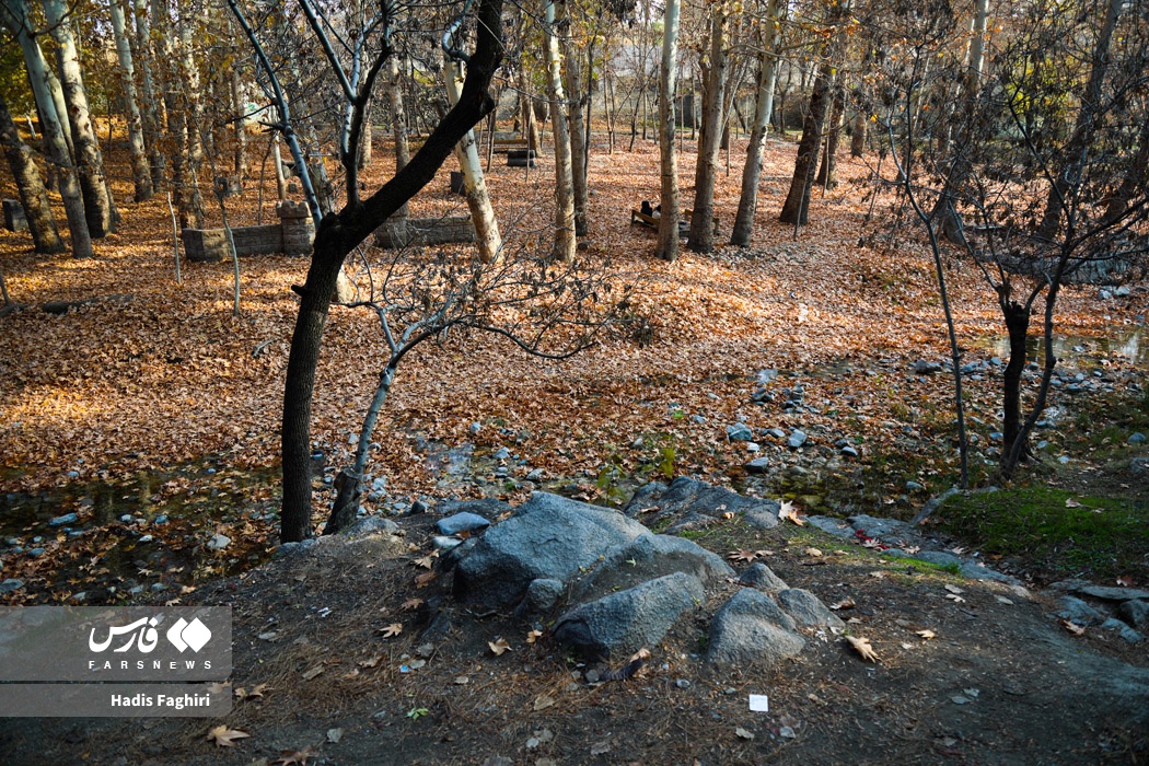 طبیعت زیبای پاییزی مشهد