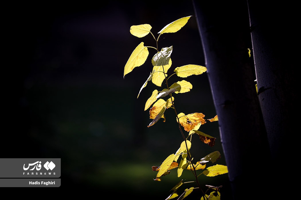 طبیعت زیبای پاییزی مشهد