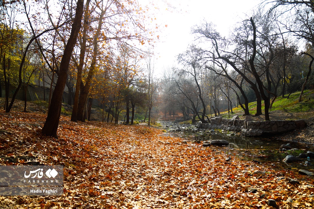 طبیعت زیبای پاییزی مشهد