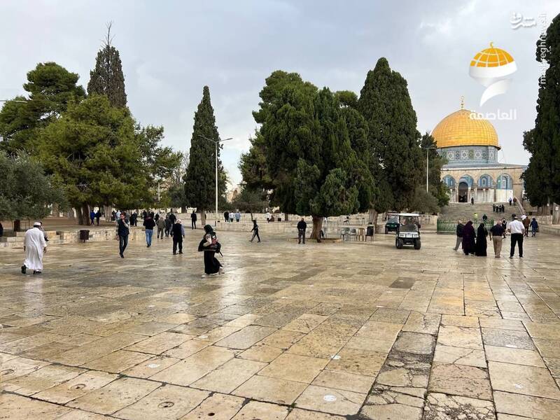 حال و هوای بارانی مسجدالاقصی