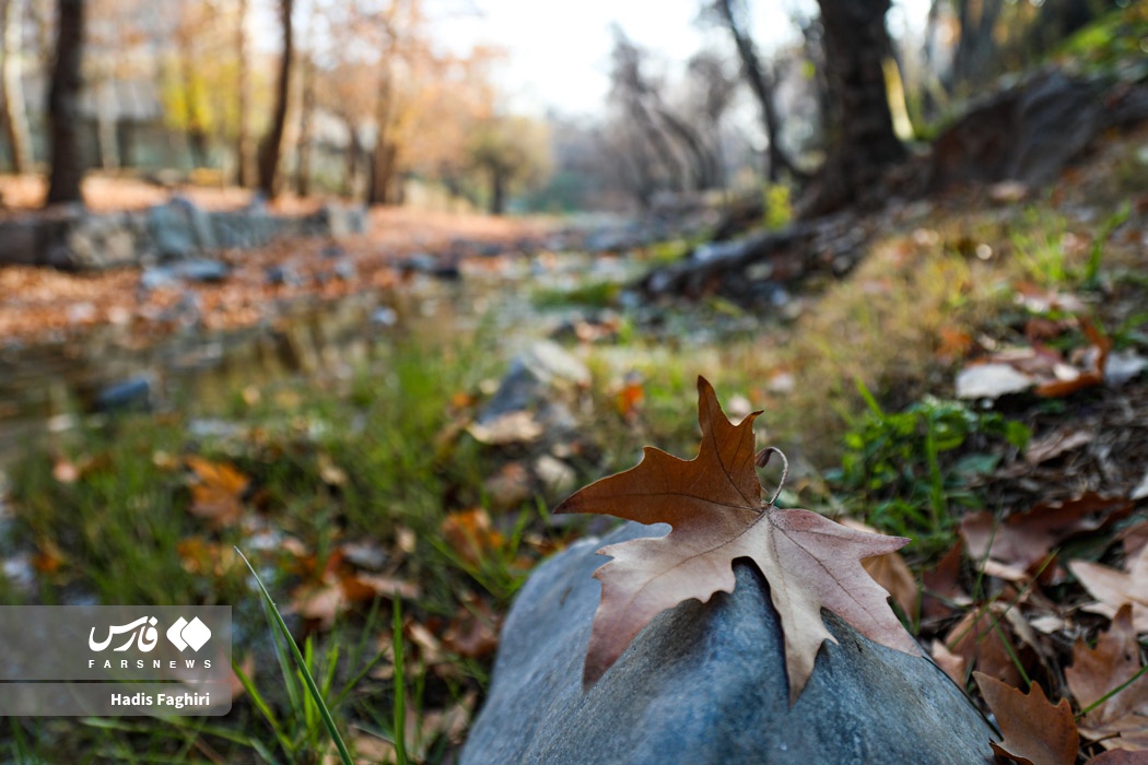 طبیعت زیبای پاییزی مشهد