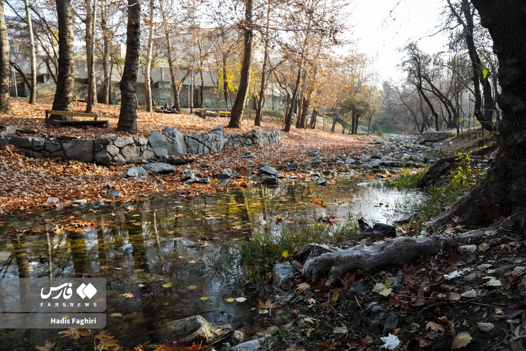 طبیعت زیبای پاییزی مشهد