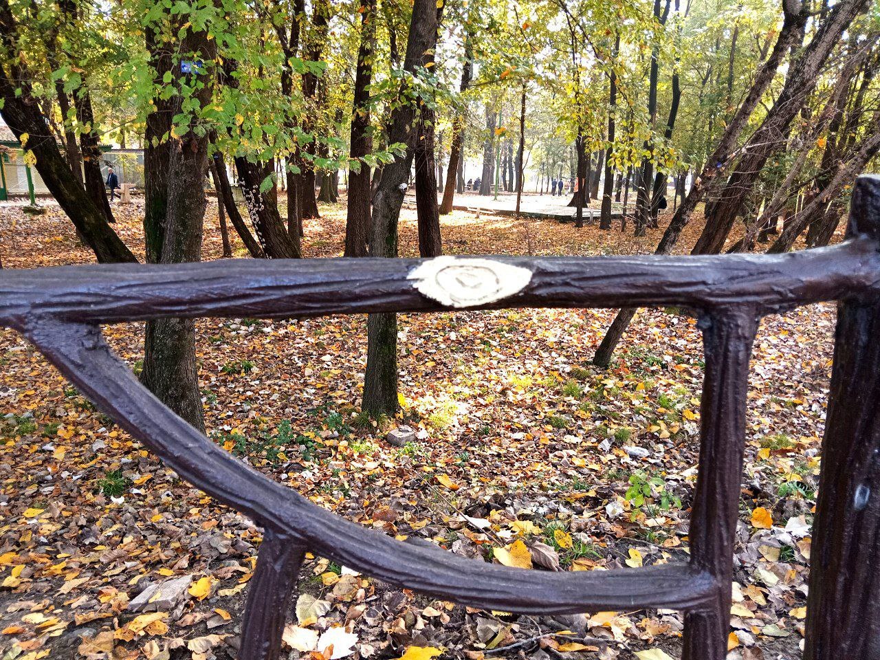برگ ریزانِ پاییز در رشت 