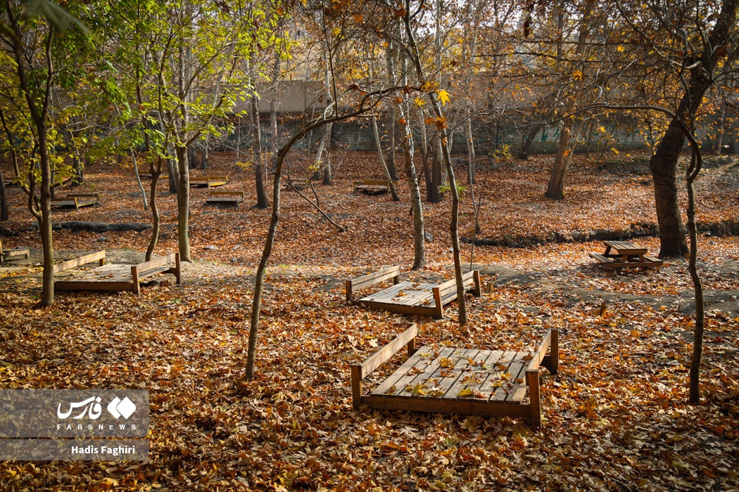 طبیعت زیبای پاییزی مشهد