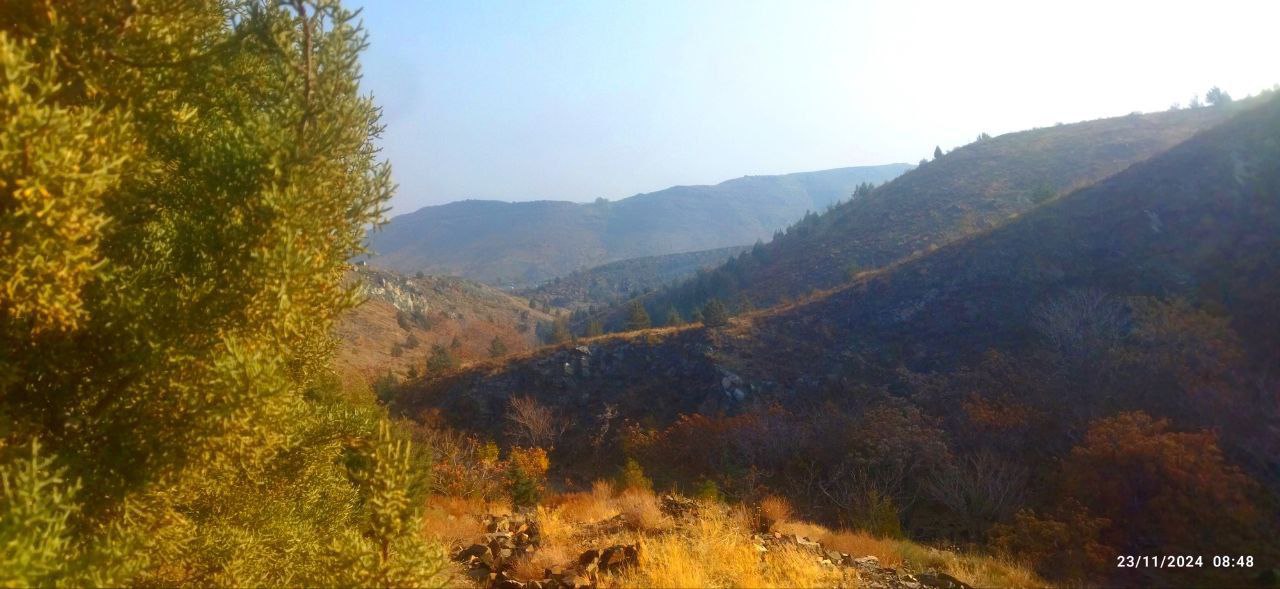 کوه پارک مه آلود مشهد