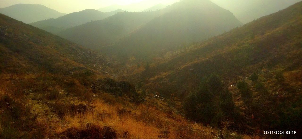 کوه پارک مه آلود مشهد