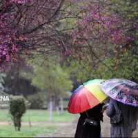 هواشناسی نسبت به آبگرفتگی معابر در استان بوشهر هشدار سطح نارنجی داد