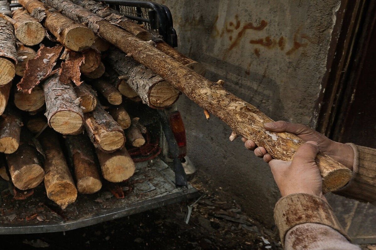 ۶ تن چوب بلوط قاچاق در اصفهان کشف شد