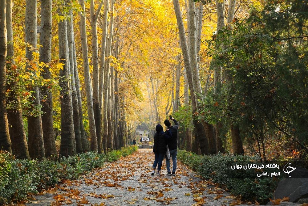 عکس/ حال و هوای پاییزی در پارک جمشیدیه تهران
