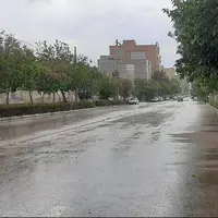 بارش باران در تمامی مناطق استان ایلام تداوم دارد