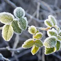 سرمای زمستانی در مسیر خراسان رضوی