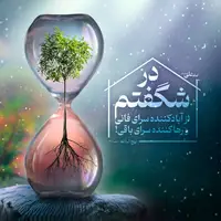 طرح/ شگفتی حضرت علی(ع) از برخی انسان ها