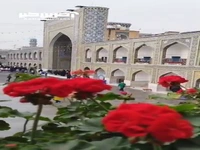 بارش باران پاییزی در حرم رضوی