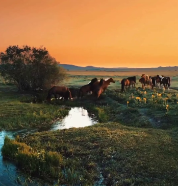 طبیعت زیبای قزاقستان