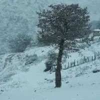  بارش برف سنگین در کجور مازندران