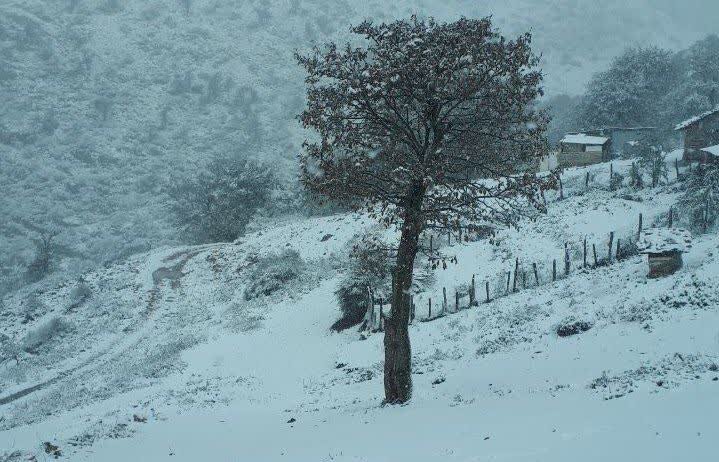 بارش برف سنگین در کجور مازندران