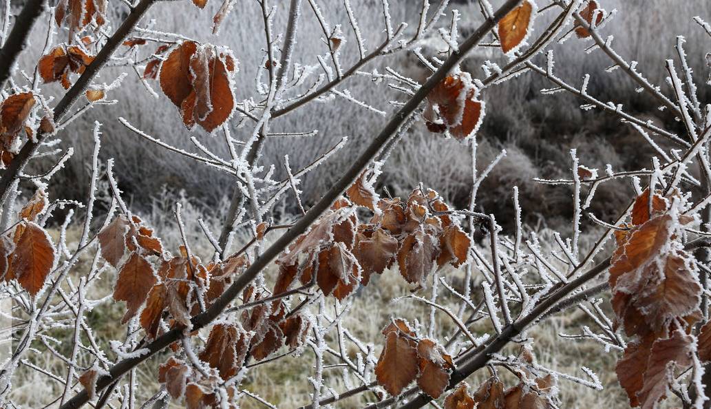 سوز سرمای پاییزی در آذربایجان‌ غربی بیشتر شد