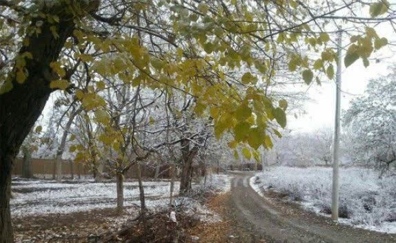 ماندگاری هوای سرد در همدان