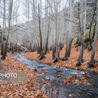 طبیعت پاییزی شاندیز در مشهد