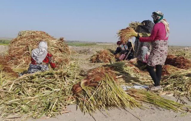 عکس/ «زابلی محله»، روستایی که غبار بیکاری را جارو می‌کند