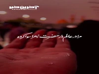 استوری/ مرا در عالم ذر حضرت زهرا سوا کرده