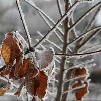 تداوم سرمای شبانه در همدان؛ دما به ۹ درجه زیر صفر رسید