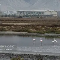  نایبند، اولین پارک ملی دریایی ایران