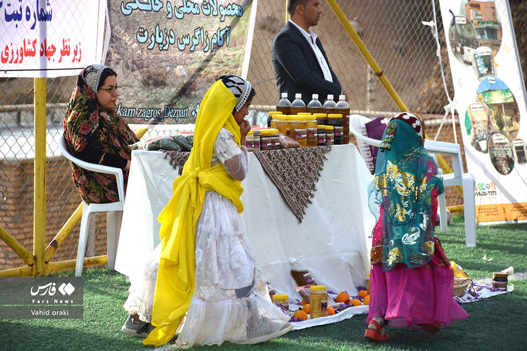 جشنواره برداشت زعفران در دزپارت