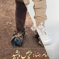 حکمت/ حریص باشید!