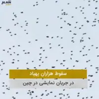 سقوط هزاران پهپاد در جریان نمایشی در چین