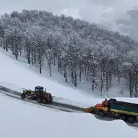 بارش برف در کندوان و سوادکوه