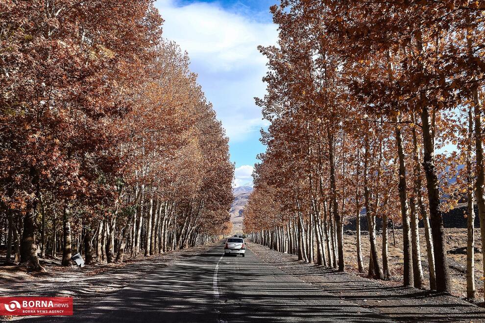 چشم‌نوازی پاییز در روستای تاریخی ابیانه